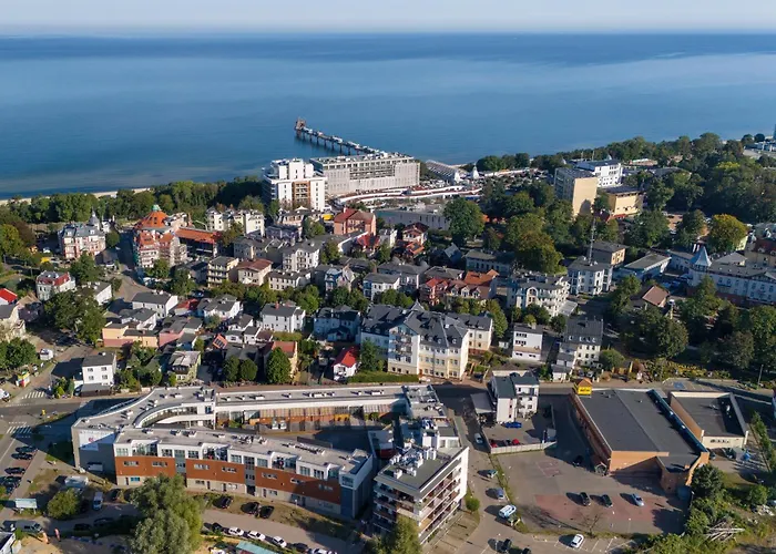 Gold Flamingo By Renters * 米兹多洛杰