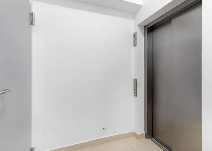 公寓 Gold Flamingo By Renters *