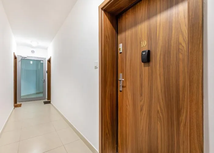 公寓 Gold Flamingo By Renters 米兹多洛杰