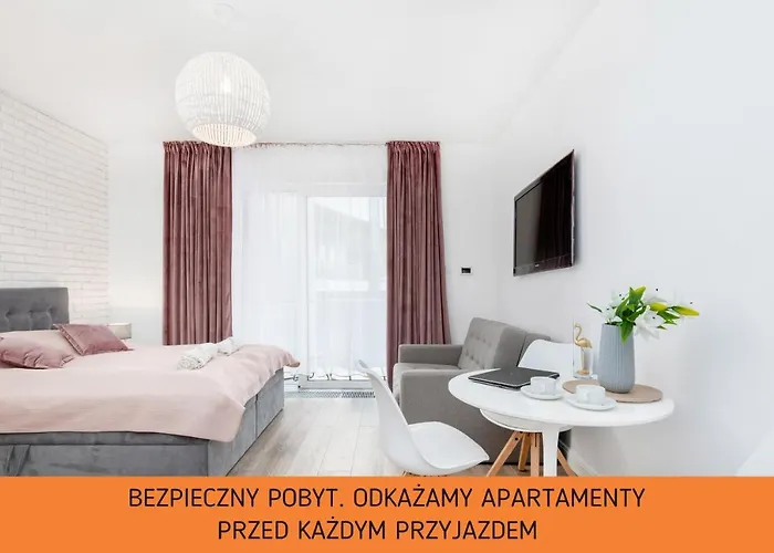 Gold Flamingo By Renters 公寓 米兹多洛杰